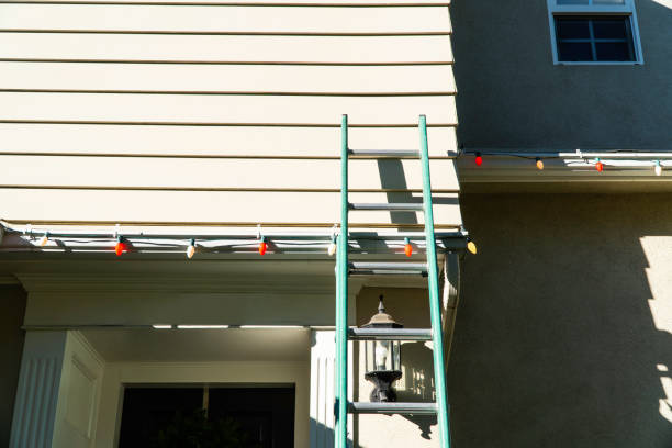 Best Stone Veneer Siding  in East Lansing, MI
