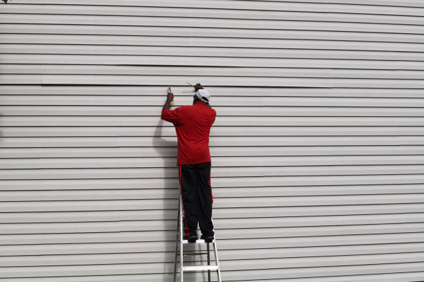 Best Steel Siding Installation  in East Lansing, MI