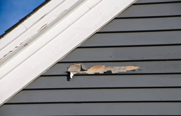 Best Brick Veneer Siding  in East Lansing, MI