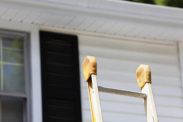 Best Fascia and Soffit Installation  in East Lansing, MI