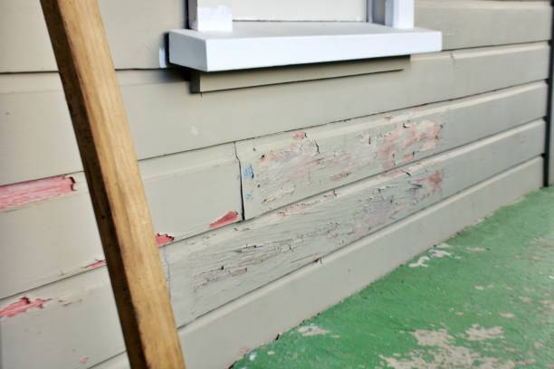 Best Insulated Siding Installation  in East Lansing, MI